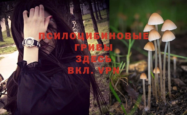 сатива Сафоново