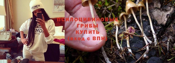 ешки Саяногорск