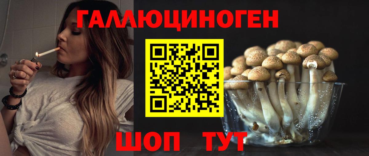 Галлюциногенные грибы мухоморы Шебекино